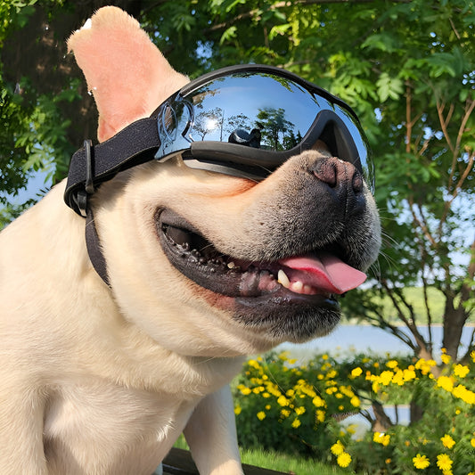Pet Protective Sunglasses (Dog Windproof Goggles)