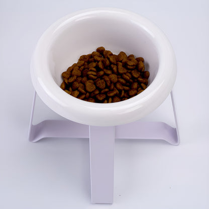 Elevated Ceramic Pet Feeding Bowl with Metal Stand