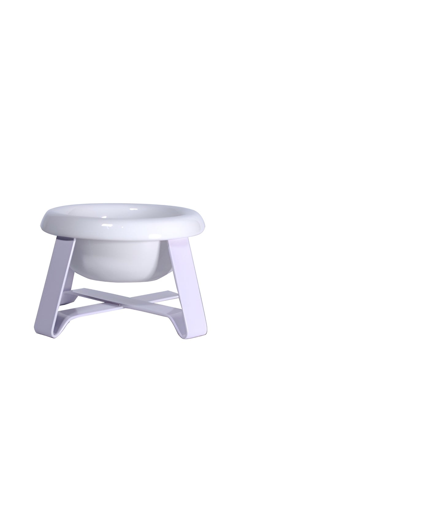 Elevated Ceramic Pet Feeding Bowl with Metal Stand