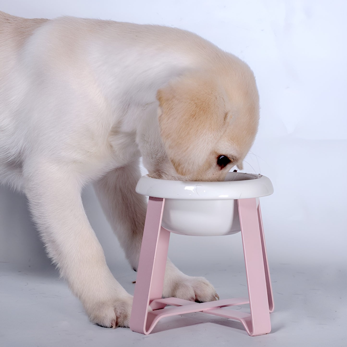 Elevated Ceramic Pet Feeding Bowl with Metal Stand